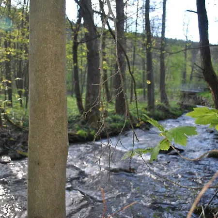 Gasthof&pension Brettmühle Pensión Konigswalde