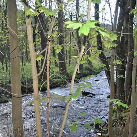 Gasthof&pension Brettmühle
