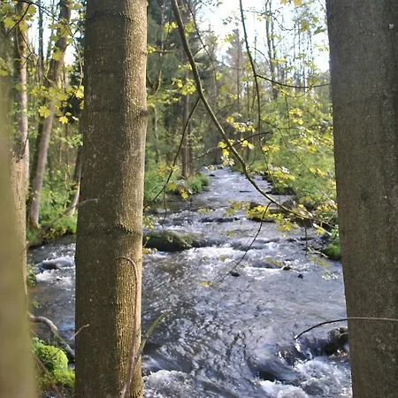 & Brettmuehle Konigswalde