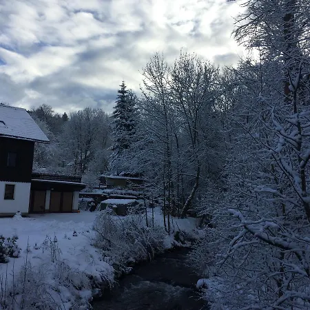 Guest house & Brettmuehle 3*