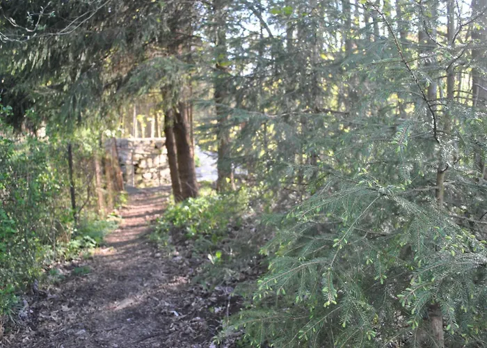 Pensión Gasthof&pension Brettmühle